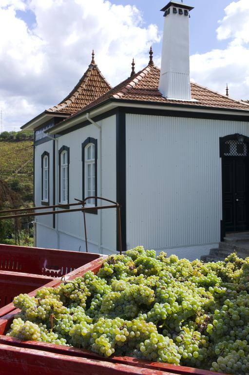 Casa De Cambres Guest House Lamego Ngoại thất bức ảnh