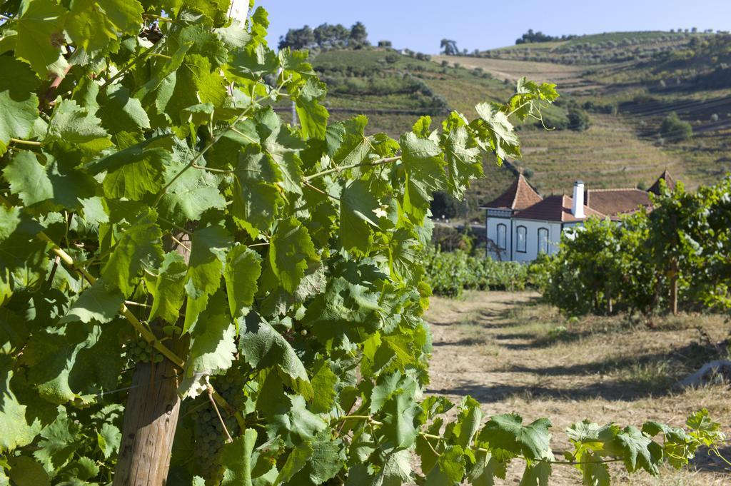 Casa De Cambres Guest House Lamego Ngoại thất bức ảnh